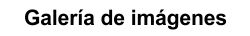 galeria imatges